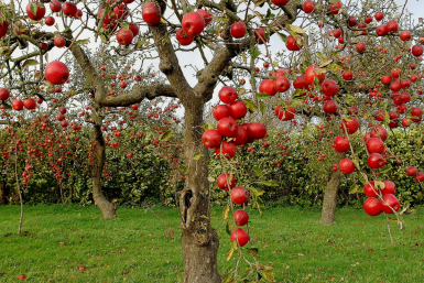Тематическое фото Автор канала