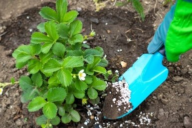 Тематическое фото Автор канала