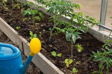 Тематическое фото О Фазенде. Загородная жизнь