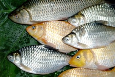 Тематическое фото pxhere.com (18+)