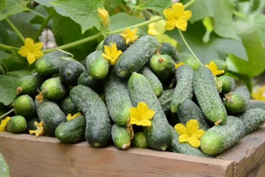 Тематическое фото Автор канала