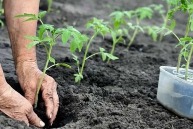 Тематическое фото Автор канала