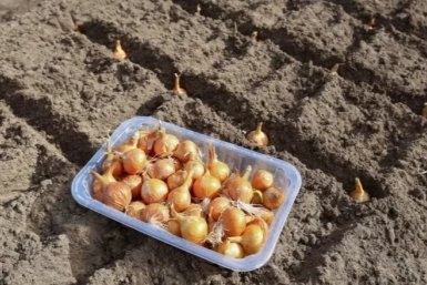 Тематическое фото Автор канала