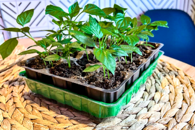 Тематическое фото Автор канала