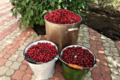 Тематическое фото Автор канала