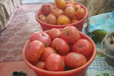 Тематическое фото Автор канала