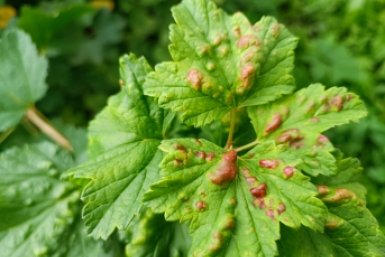 Тематическое фото Автор канала