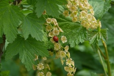 Тематическое фото Автор канала