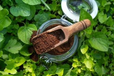 Тематическое фото Автор канала