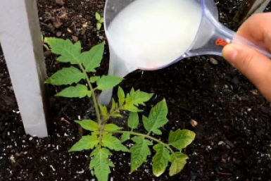 Тематическое фото Автор канала