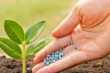 Тематическое фото Автор канала