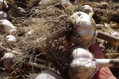 Тематическое фото Автор канала