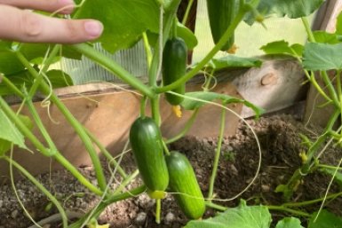 Тематическое фото Автор канала