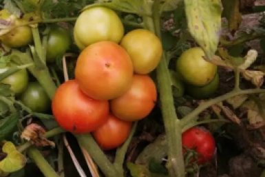 Тематическое фото Автор канала