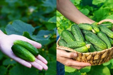 Тематическое фото Автор канала