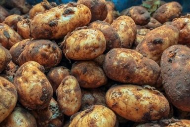 Тематическое фото Автор канала