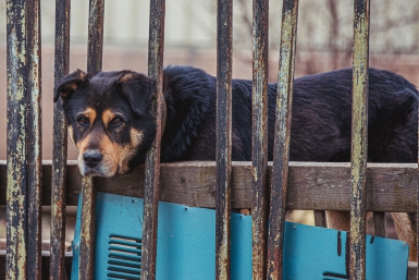 Тематическое фото ИА OmskMedia