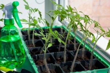 Тематическое фото Автор канала