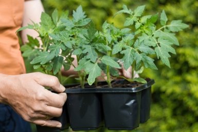 Тематическое фото Автор канала