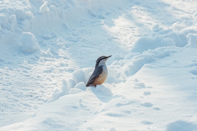 Тематическое фото ИА OmskMedia