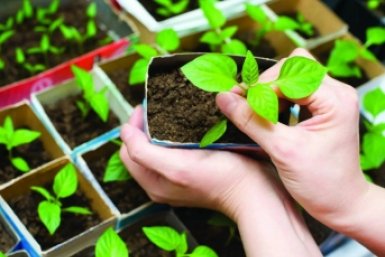 Тематическое фото Автор канала