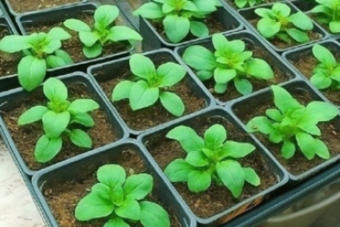 Тематическое фото Автор канала