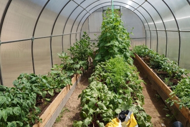 Тематическое фото ИА OmskMedia