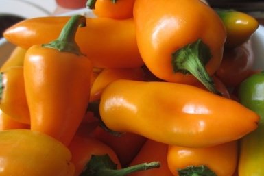 Тематическое фото Автор канала