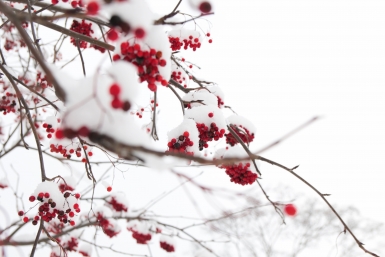 Тематическое фото ИА OmskMedia