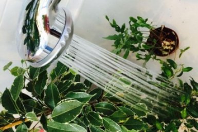 Тематическое фото Автор канала