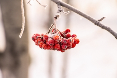 Тематическое фото ИА OmskMedia