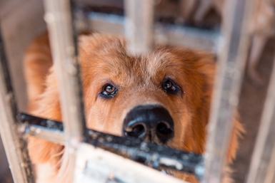 Тематическое фото ИА OmskMedia