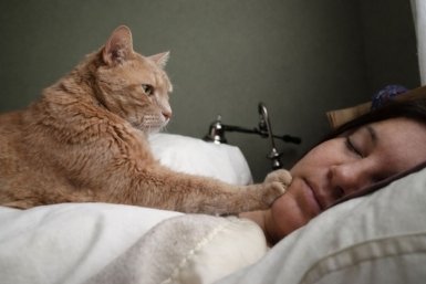 Тематическое фото Автор канала