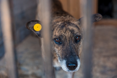 Тематическое фото ИА OmskMedia