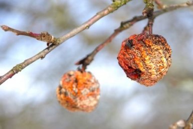 Тематическое фото Автор канала