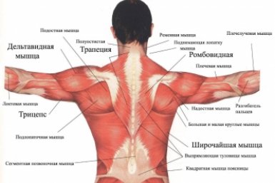 Тематическое фото Автор канала