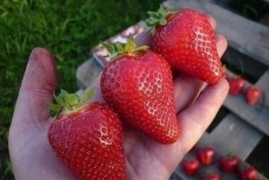 Тематическое фото Автор канала