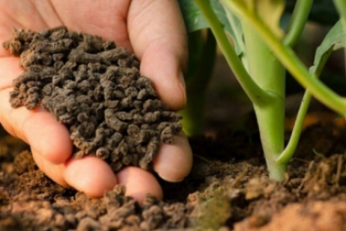 Тематическое фото Автор канала