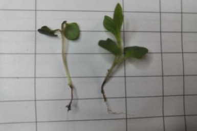 Тематическое фото Автор канала