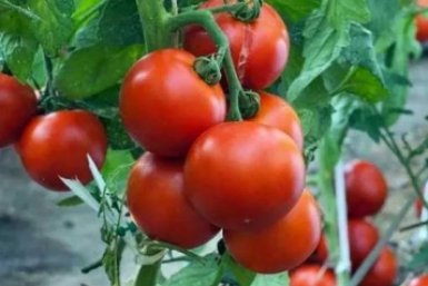 Тематическое фото Автор канала