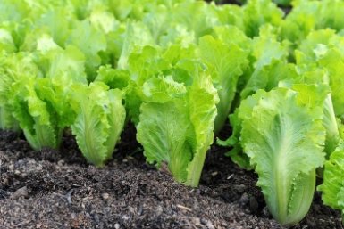 Тематическое фото Автор канала