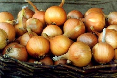 Тематическое фото Автор канала