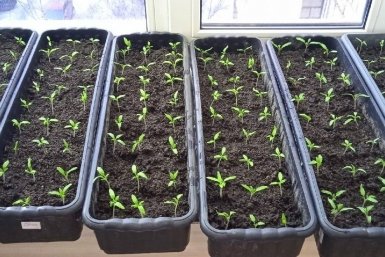 Тематическое фото Автор канала