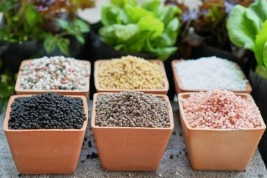 Тематическое фото Автор канала