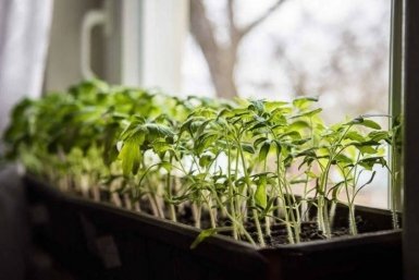 Тематическое фото Автор канала