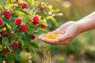 Тематическое фото Автор канала