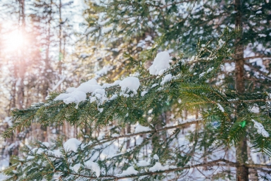 Тематическое фото ИА OmskMedia