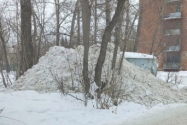 Тематическое фото Автор канала