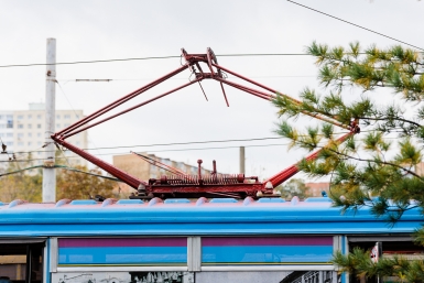 Тематическое фото ИА OmskMedia