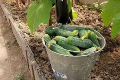 Тематическое фото Автор канала